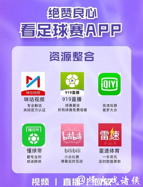 世界杯下注APP：高清直播与专家互动观点